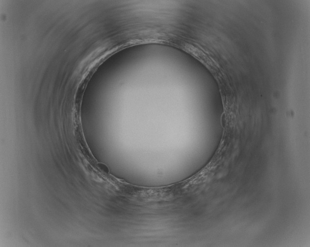 X0000074040338200609111744