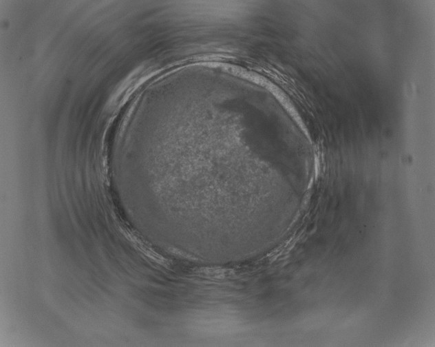 X0000074040339200609111744