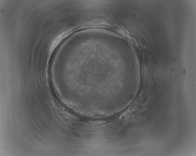 X0000074040340200609111744