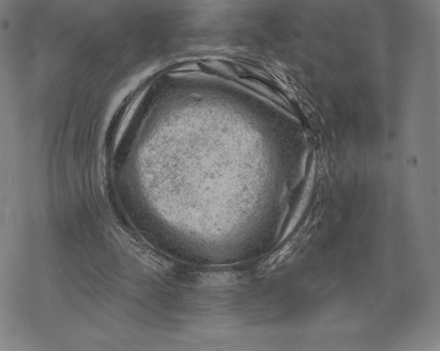 X0000074040342200609111744