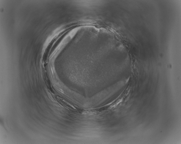 X0000074040343200609111744