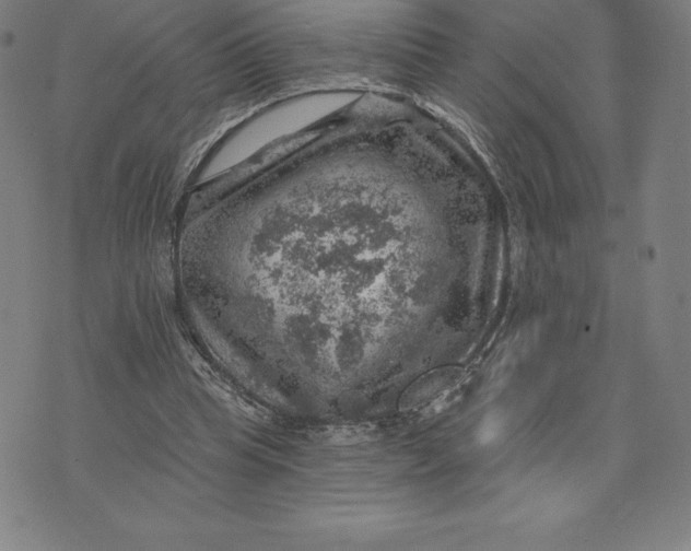 X0000074040345200609111744