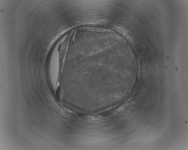 X0000074040346200609111744