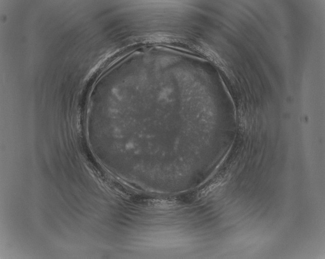 X0000074040347200609111744