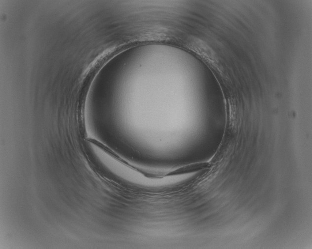 X0000074040348200609111744