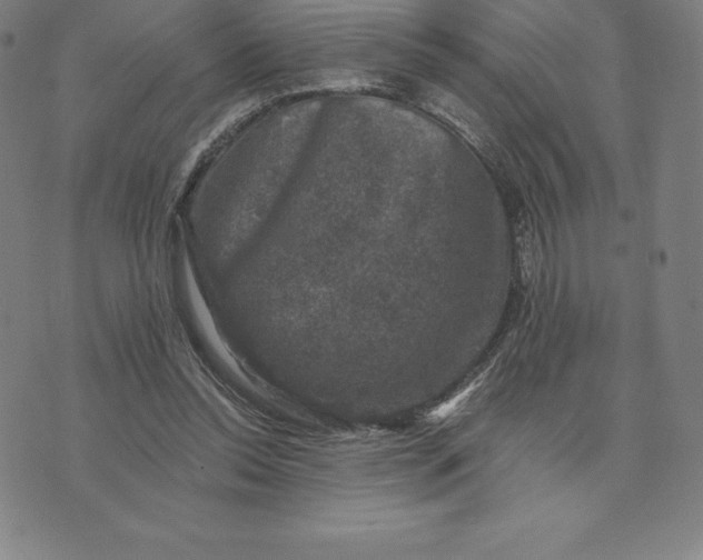 X0000074040350200609111745