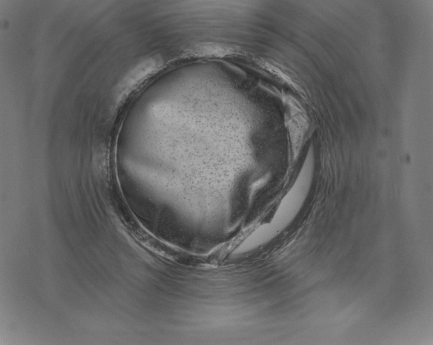 X0000074040352200609111745