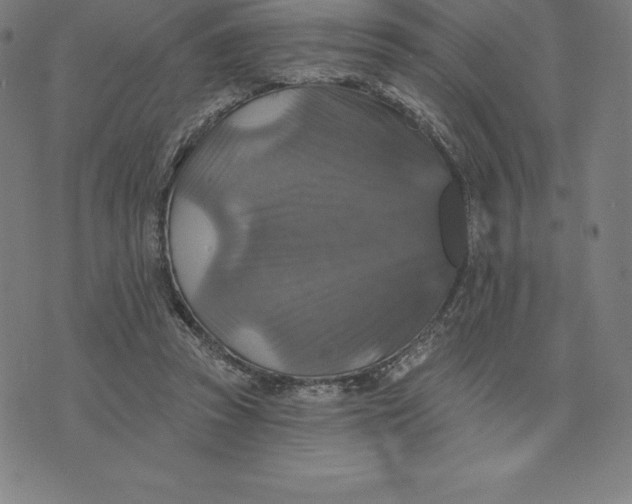 X0000074040353200609111745