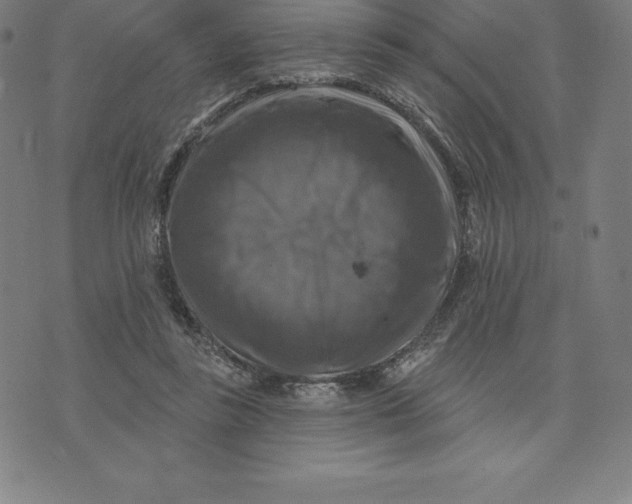 X0000074040355200609111745