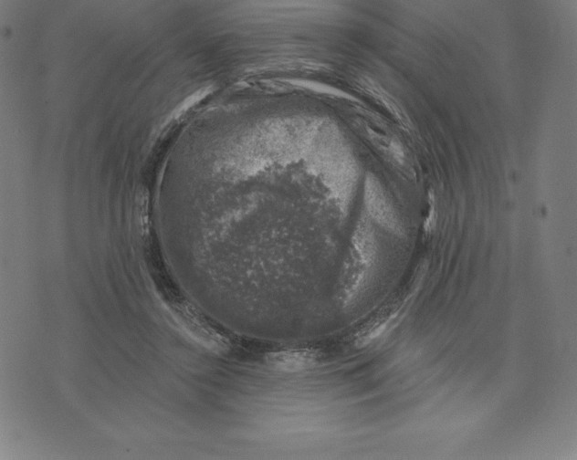 X0000074040356200609111745