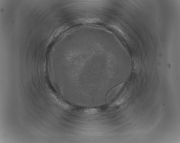 X0000074040357200609111745