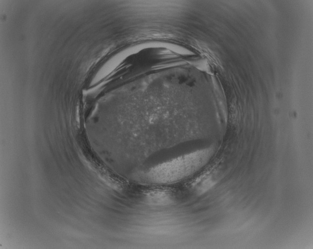 X0000074040358200609111745