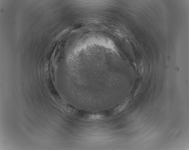 X0000074040360200609111745