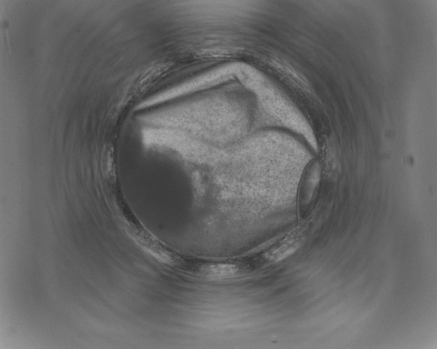 X0000074040361200609111745