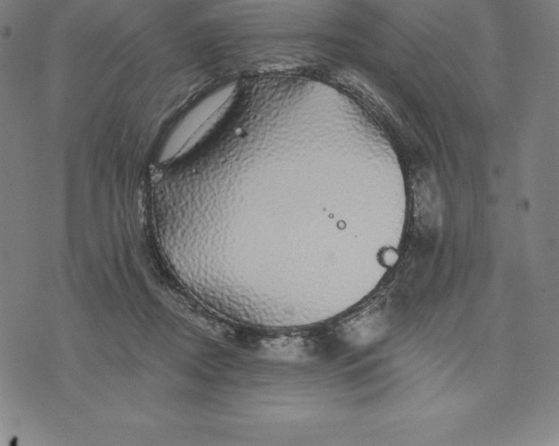 X0000074040362200609111745