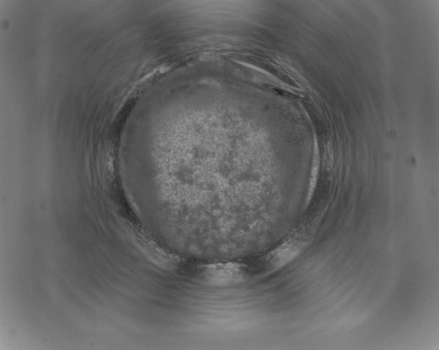 X0000074040363200609111745