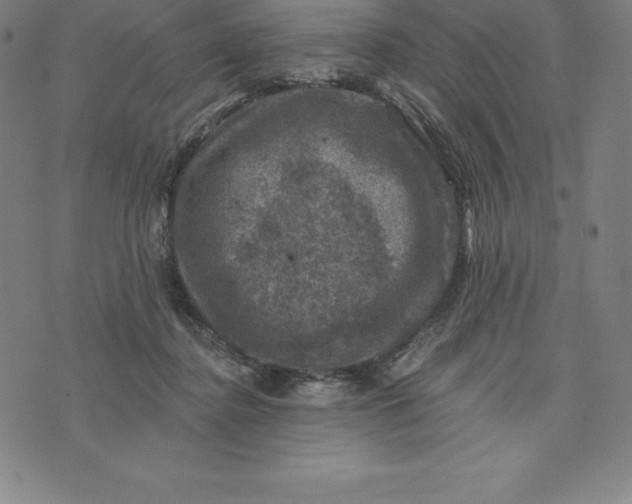 X0000074040364200609111745