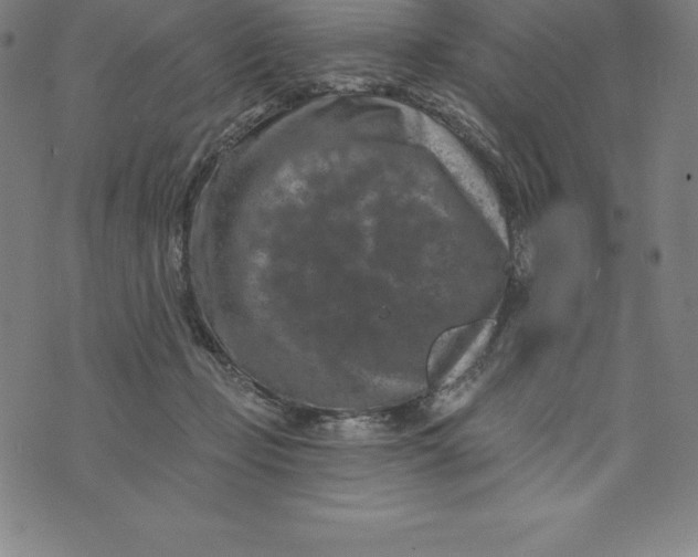 X0000074040365200609111745