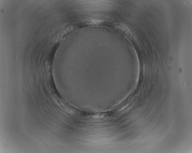 X0000074040366200609111745