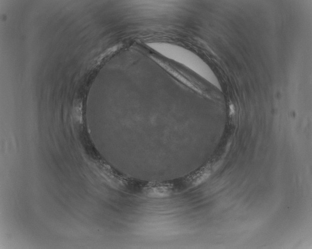 X0000074040368200609111745