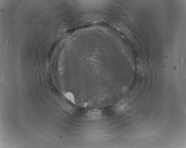 X0000074040369200609111745