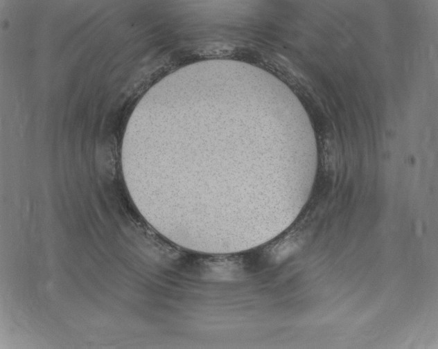 X0000074040370200609111745