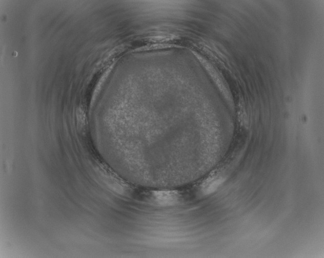 X0000074040371200609111745