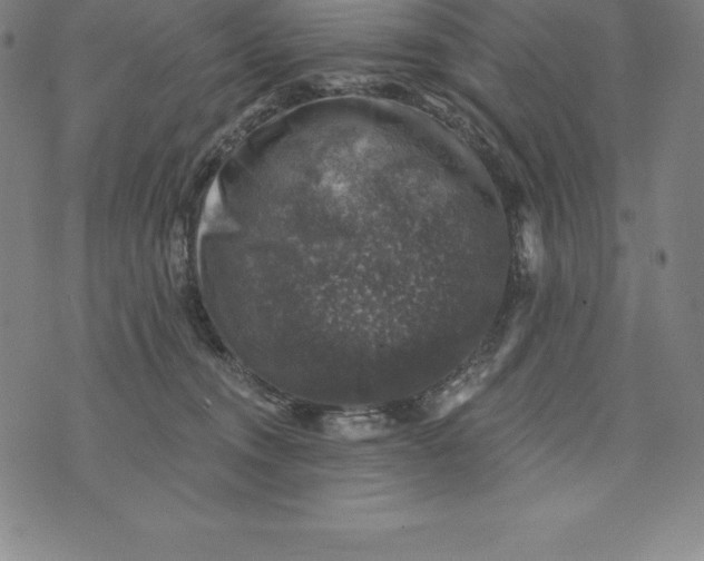 X0000074040372200609111745