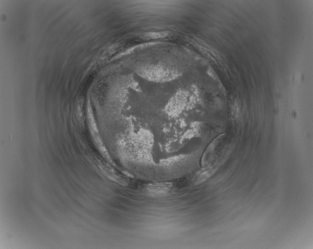 X0000074040373200609111745