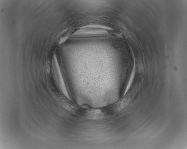 X0000074040374200609111745