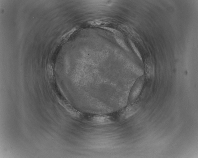 X0000074040375200609111745