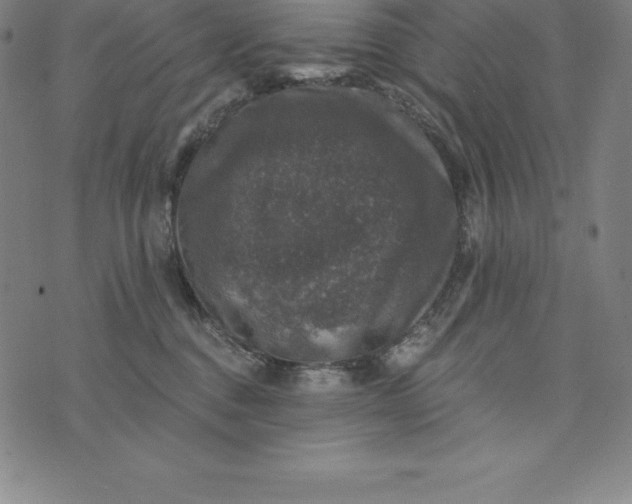 X0000074040376200609111745