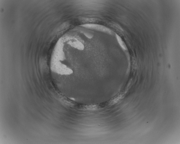 X0000074040377200609111745