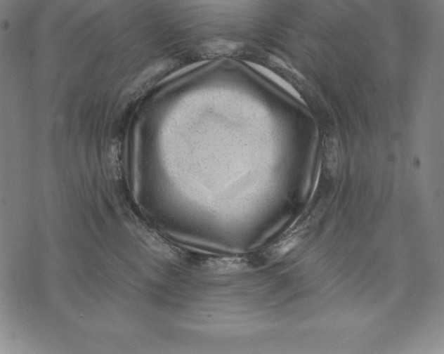 X0000074040378200609111745