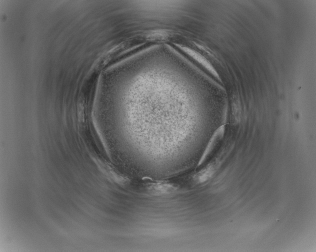 X0000074040379200609111745