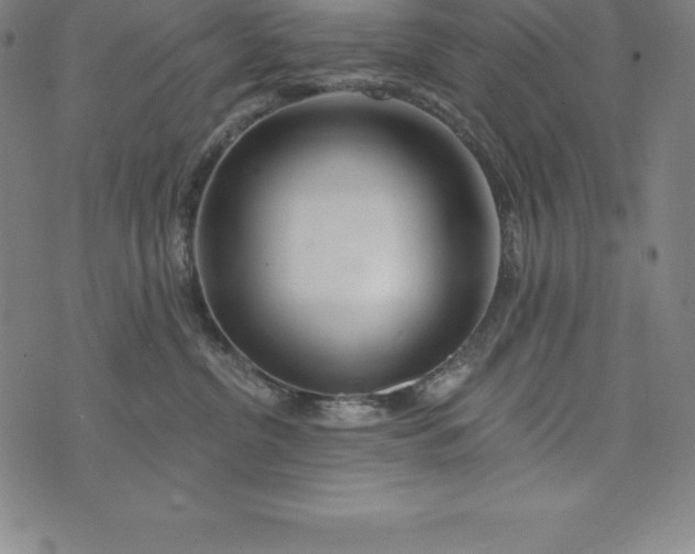 X0000074040380200609111745