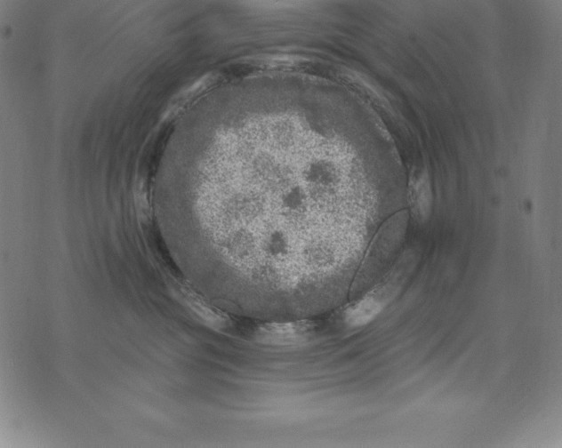 X0000074040381200609111745