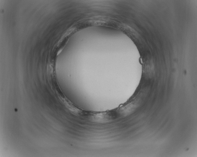 X0000074040382200609111745