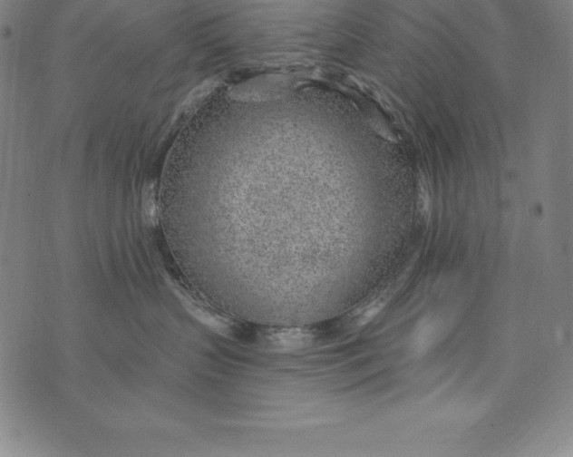 X0000074040383200609111745