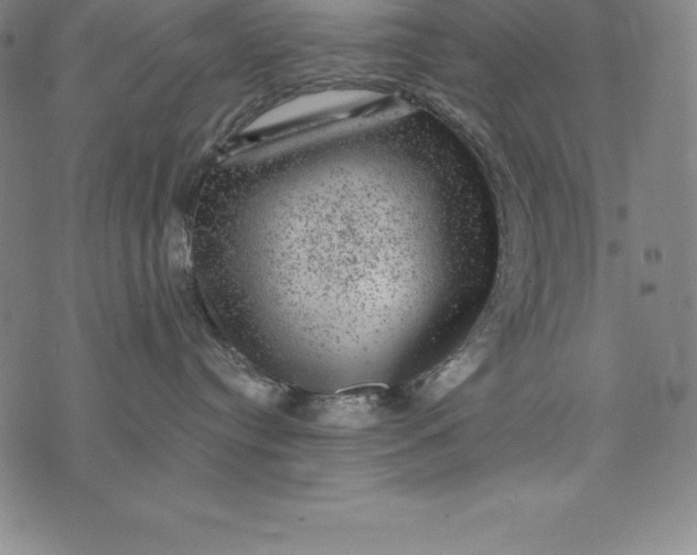 X0000074040384200609111745