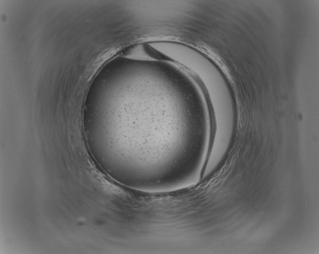 X0000074040385200609111744