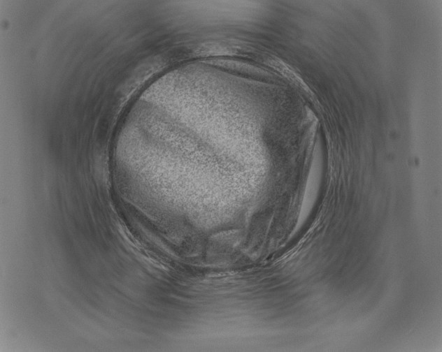 X0000074040386200609111744