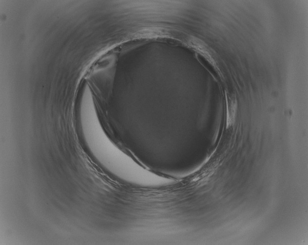 X0000074040387200609111744