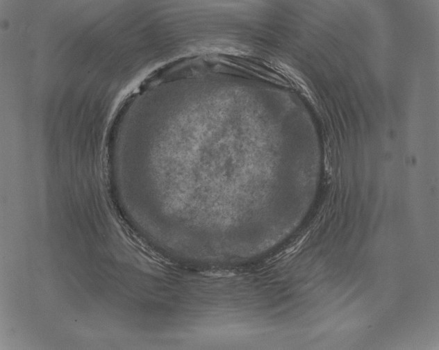 X0000074040388200609111744