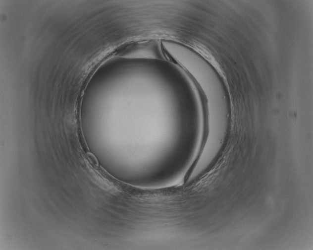 X0000074040389200609111744