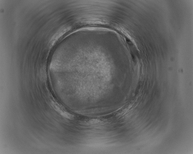 X0000074040390200609111744