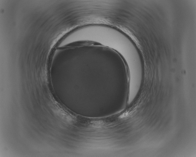 X0000074040391200609111744