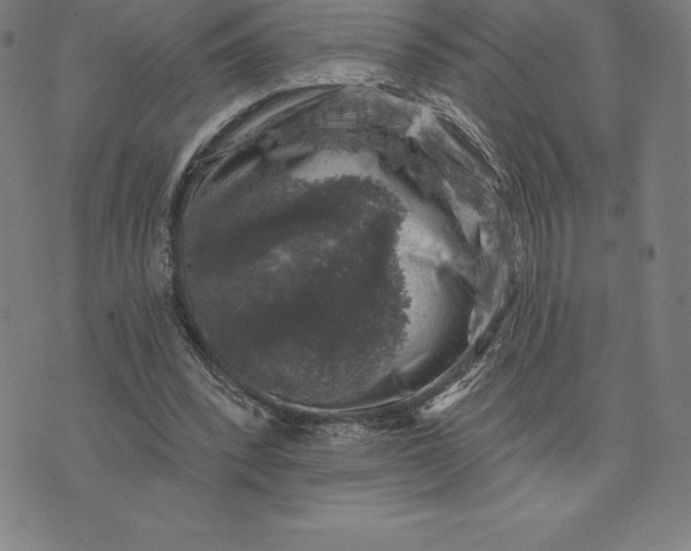 X0000074040392200609111744