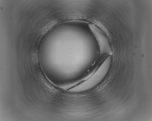 X0000074040393200609111744