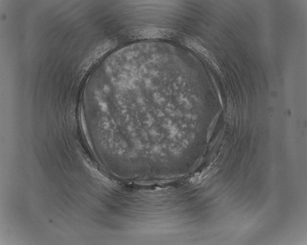 X0000074040394200609111744